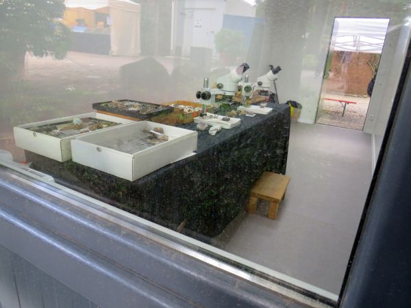 Die Mikroskope im Container