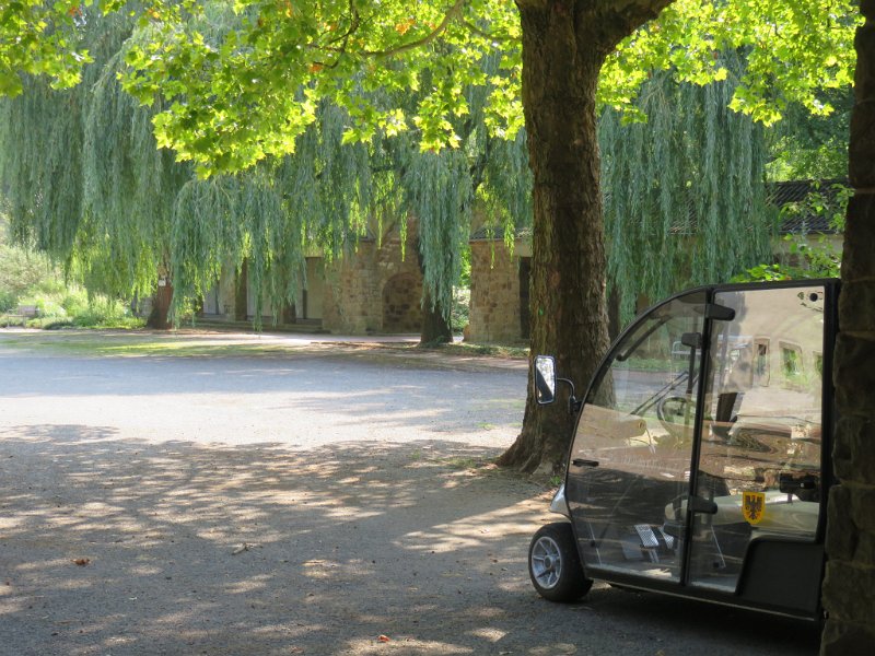 Hauptfriedhof am 25. August 2019 (3)