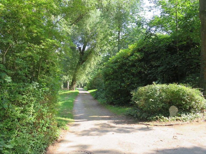 Hauptfriedhof am 25. August 2019 (38)