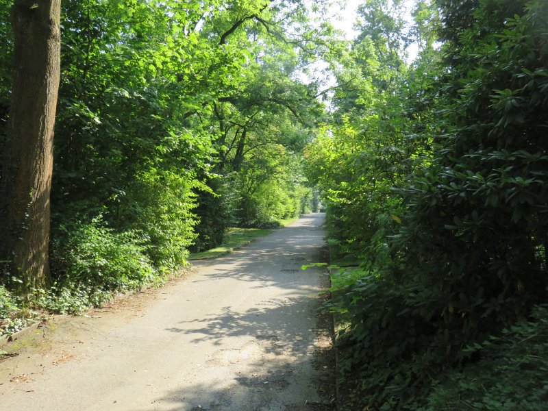 Hauptfriedhof am 25. August 2019 (39)