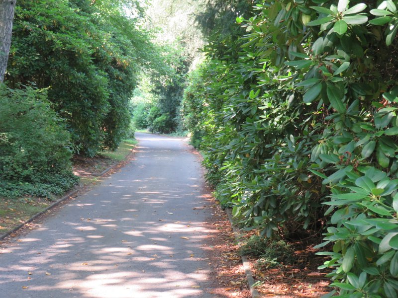 Hauptfriedhof am 25. August 2019 (43)