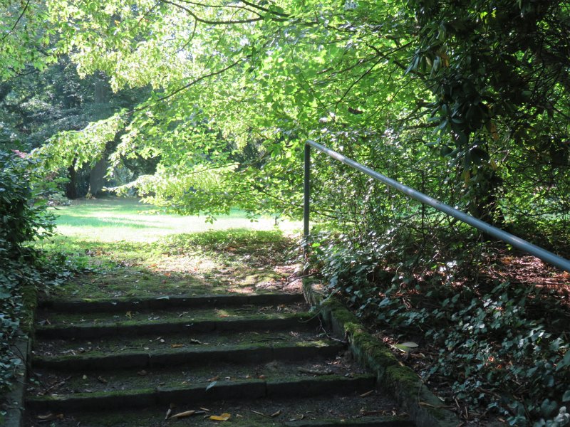 Hauptfriedhof am 25. August 2019 (44)