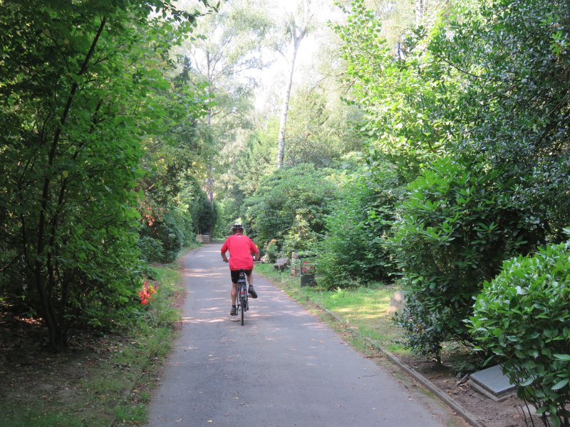 Hauptfriedhof am 25. August 2019 (46)