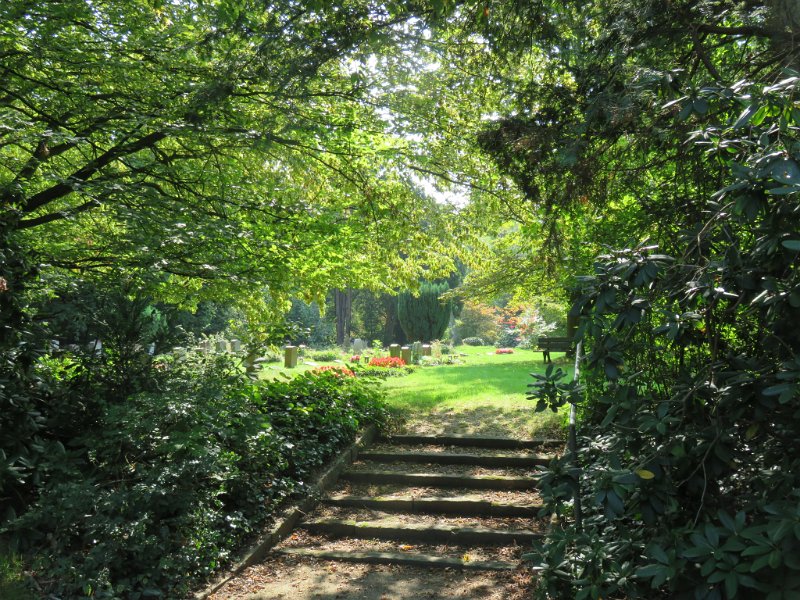 Hauptfriedhof am 25. August 2019 (51)