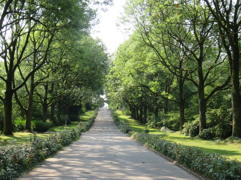 Hauptfriedhof am 25. August 2019 (7)