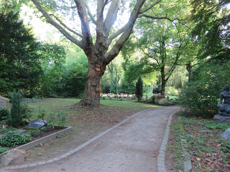 Ostfriedhof am 23. August 2019 (14)