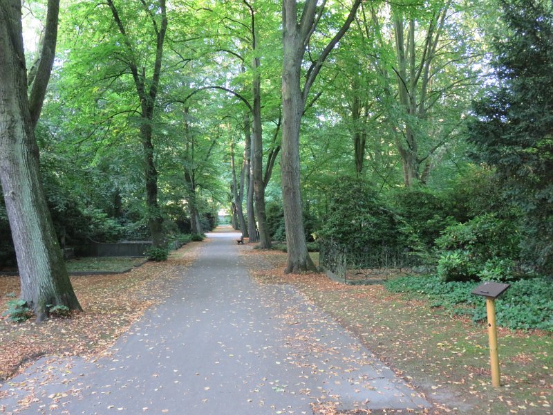 Ostfriedhof am 23. August 2019 (20)