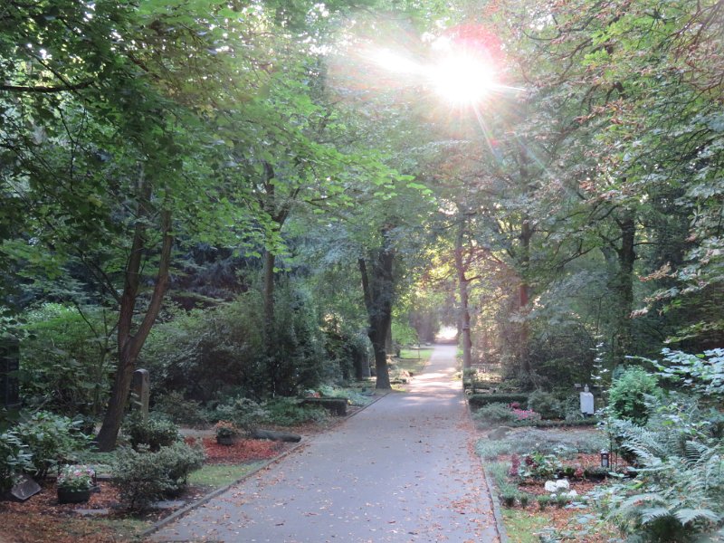 Ostfriedhof am 23. August 2019 (23)