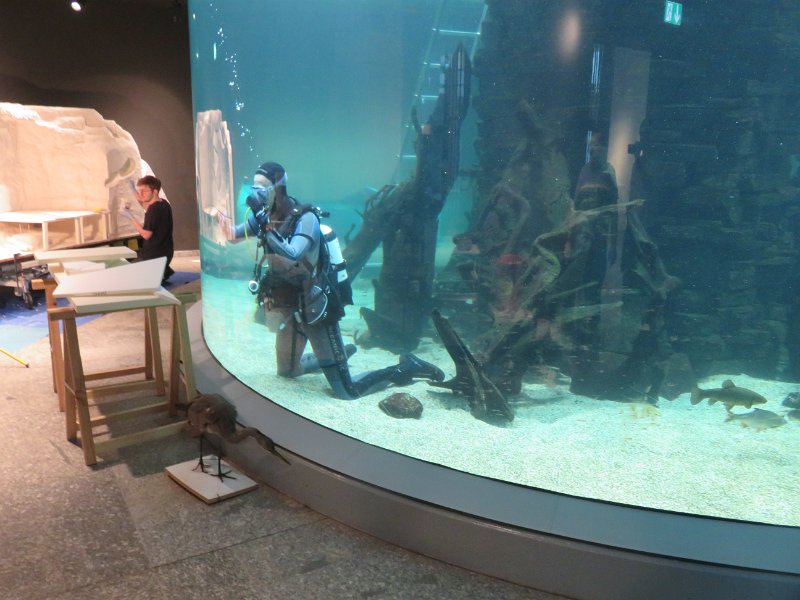 Wand 16 (2),  Das Aquarium wird während des Umbaus gepflegt