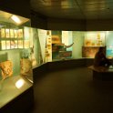 Eine Exkursion in das Senckenberg-Museum