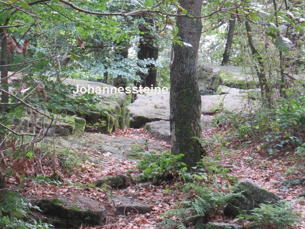 Piesberg am 28.09.2025 (123)