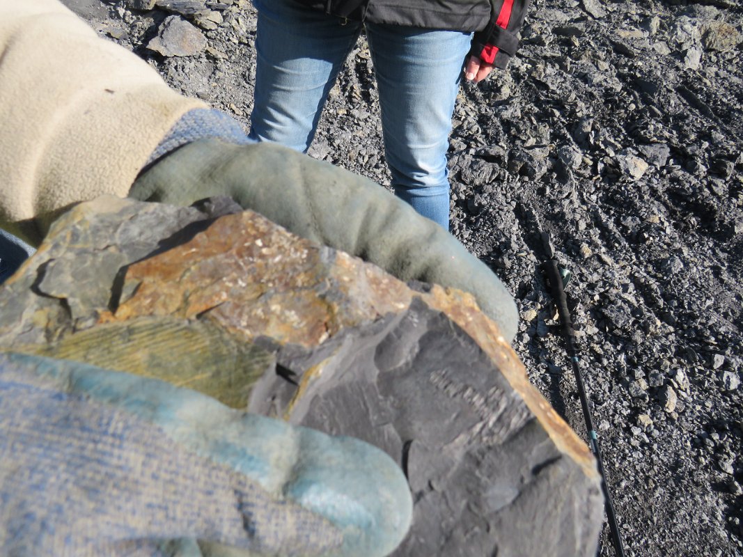 Piesberg am 28.09.2025 (57)