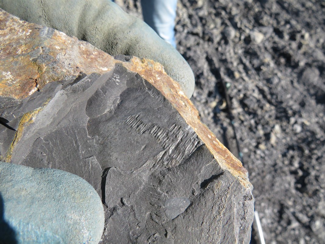 Piesberg am 28.09.2025 (58)