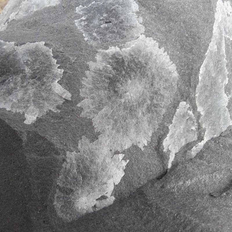 Piesberg am 28.9.2025  (145)