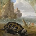 Nicasius_Bernaerts_-_Sea_turtle_Louvre_1643-1678